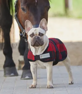 Waldhausen Lumberjack Dog Jacket